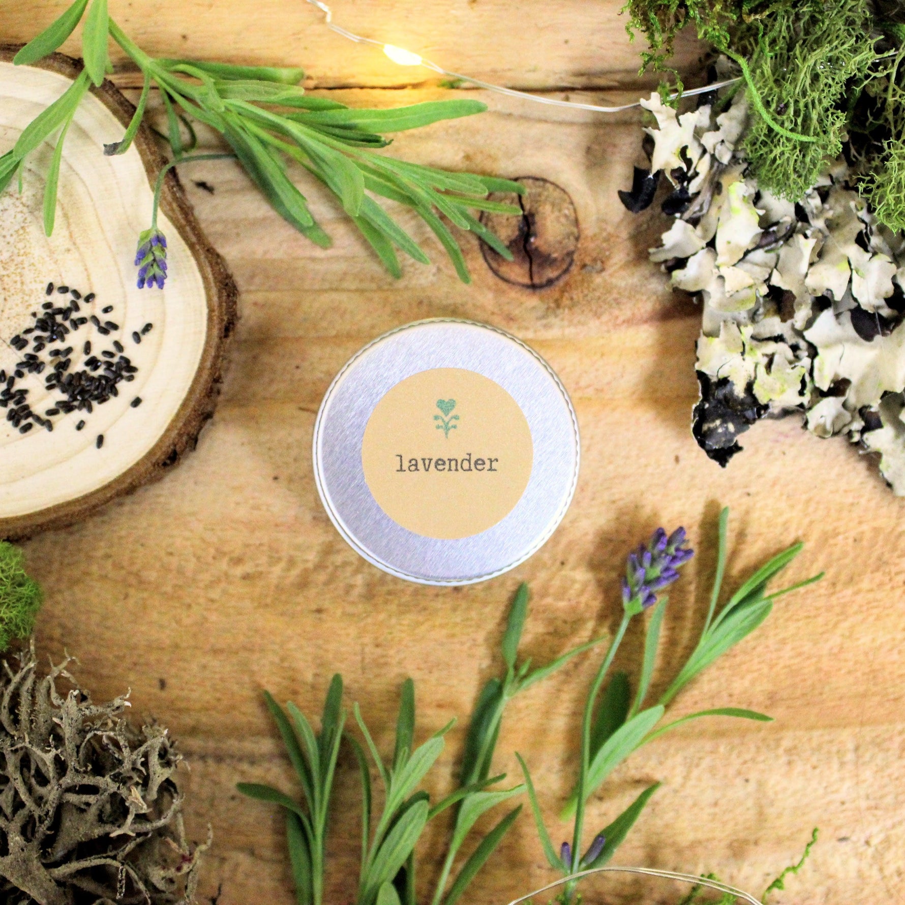 Herbal Tea Seeds Collection Of 6 Seed Varieties Plantflix