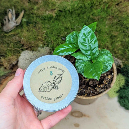 "Houseplant Buff" Houseplant Seed Collection - Plantflix
