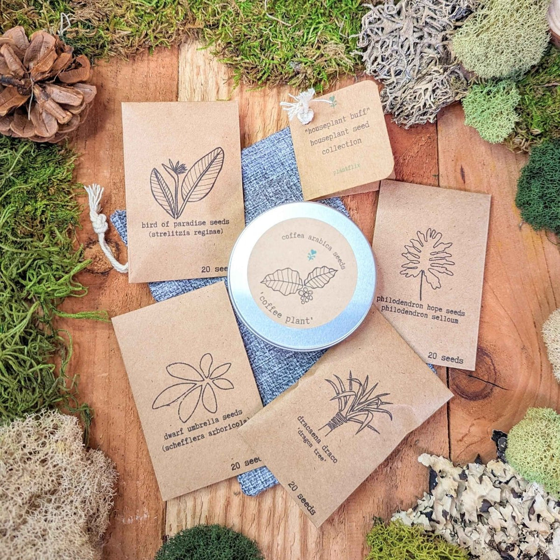 "Houseplant Buff" Houseplant Seed Collection - Plantflix