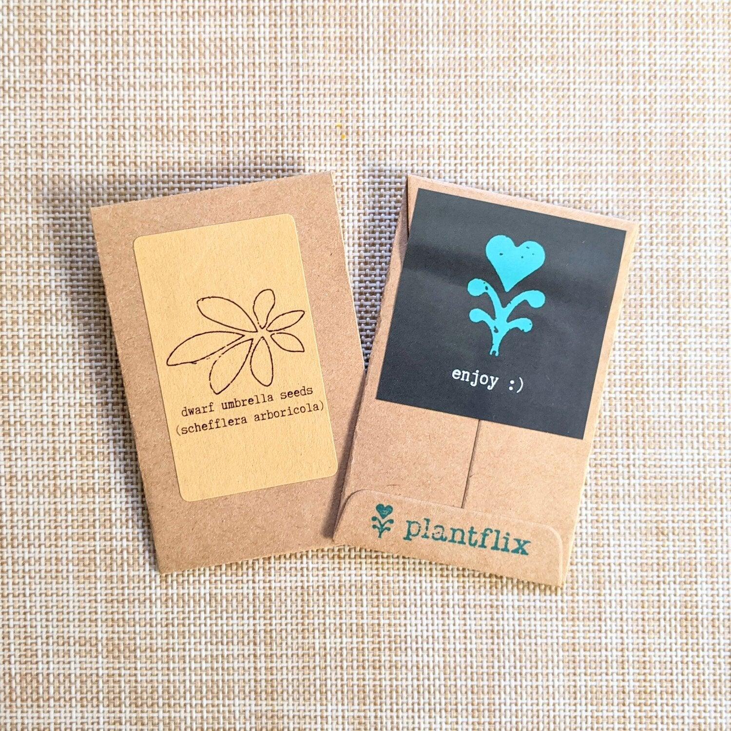 &quot;Houseplant Buff&quot; Houseplant Seed Collection - Plantflix