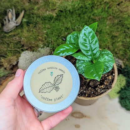 &quot;Houseplant Buff&quot; Houseplant Seed Collection - Plantflix