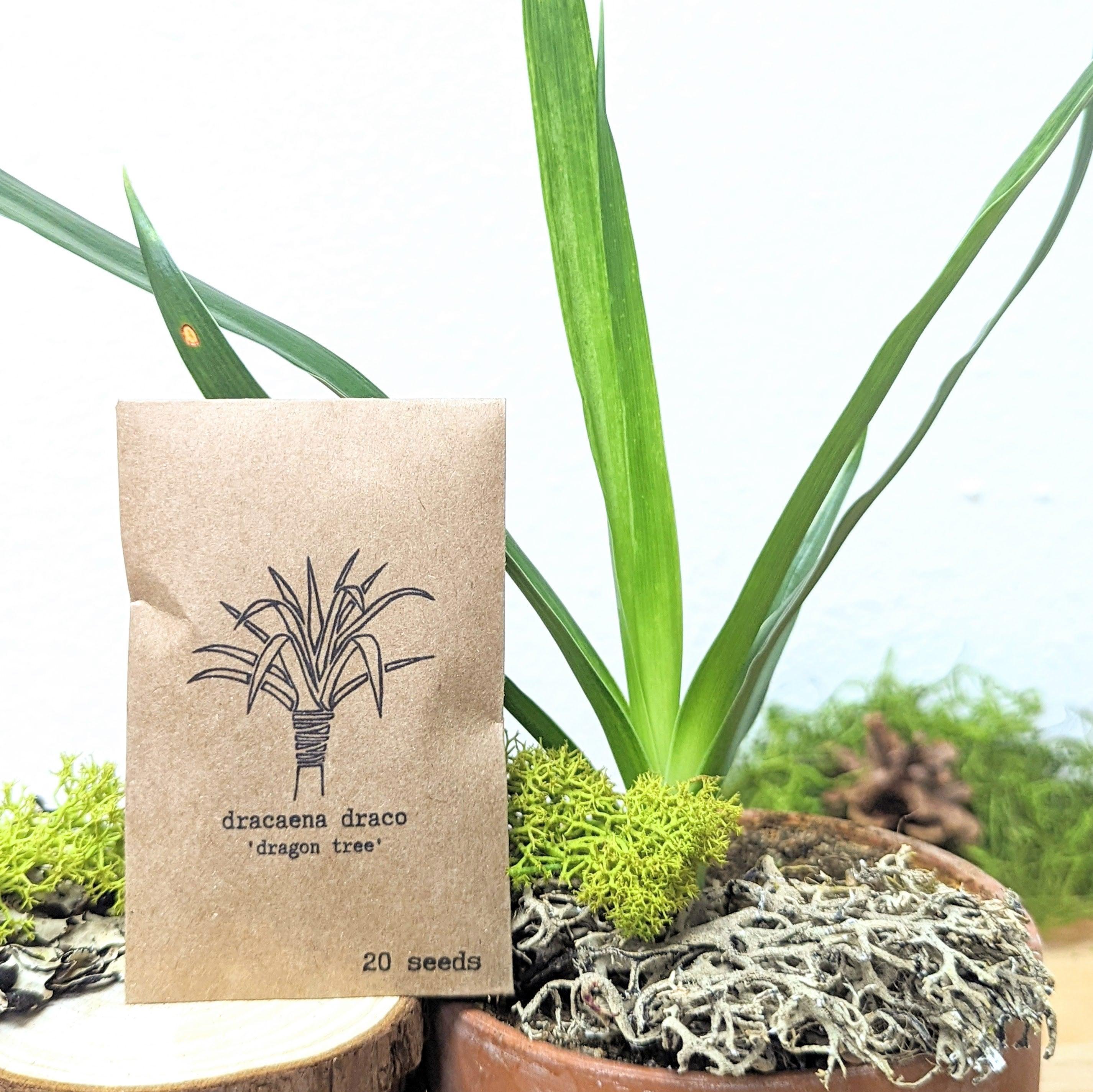 &quot;Houseplant Buff&quot; Houseplant Seed Collection - Plantflix