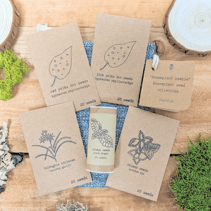 "Houseplant Newbie" Houseplant Seed Collection - Plantflix