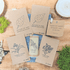 "Houseplant Newbie" Houseplant Seed Collection - Plantflix