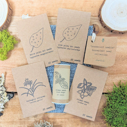 &quot;Houseplant Newbie&quot; Houseplant Seed Collection - Plantflix