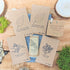 "Houseplant Newbie" Houseplant Seed Collection - Plantflix