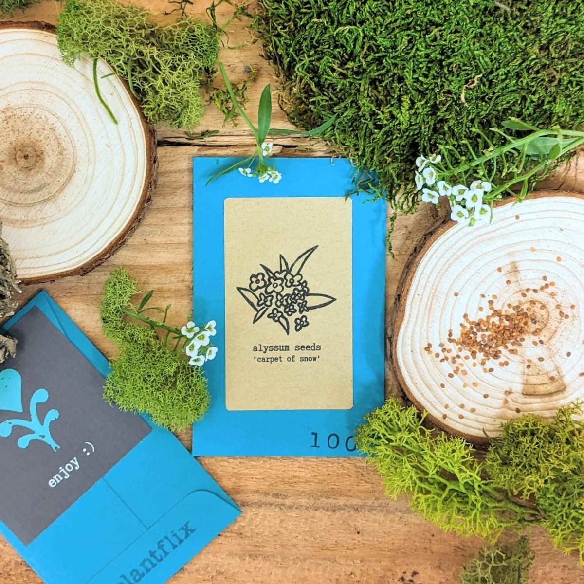 "Indoor Blooms" Seed Collection - Plantflix