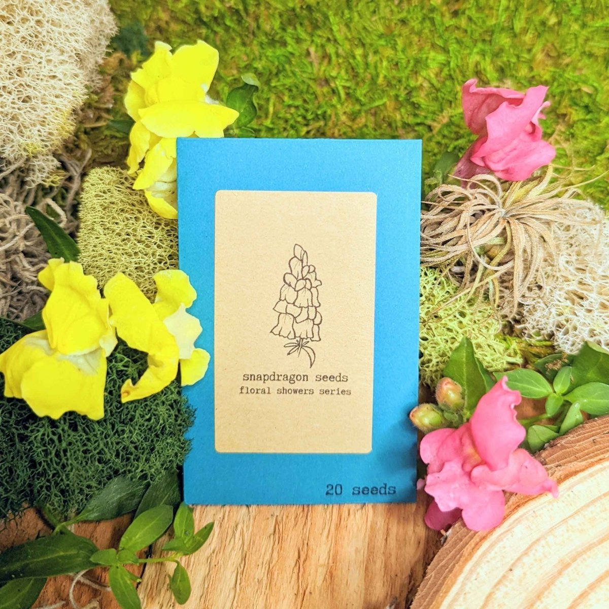 "Indoor Blooms" Seed Collection - Plantflix