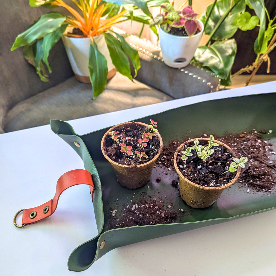 Indoor Potting Mat - We the Wild - Plantflix