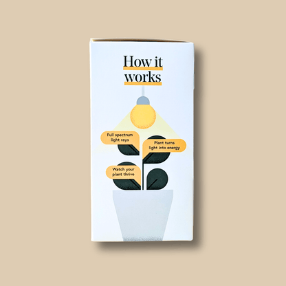 Instant Sun Grow Bulb - We the Wild - Plantflix