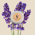 Lavender Seeds - Plantflix