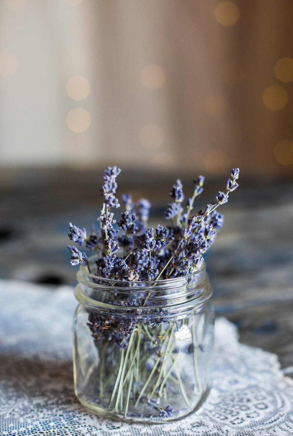 Lavender Seeds - Plantflix
