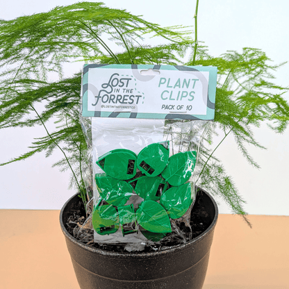 Leaf - Shaped Plant Wall Clips: Lost in the Forrest - Plantflix