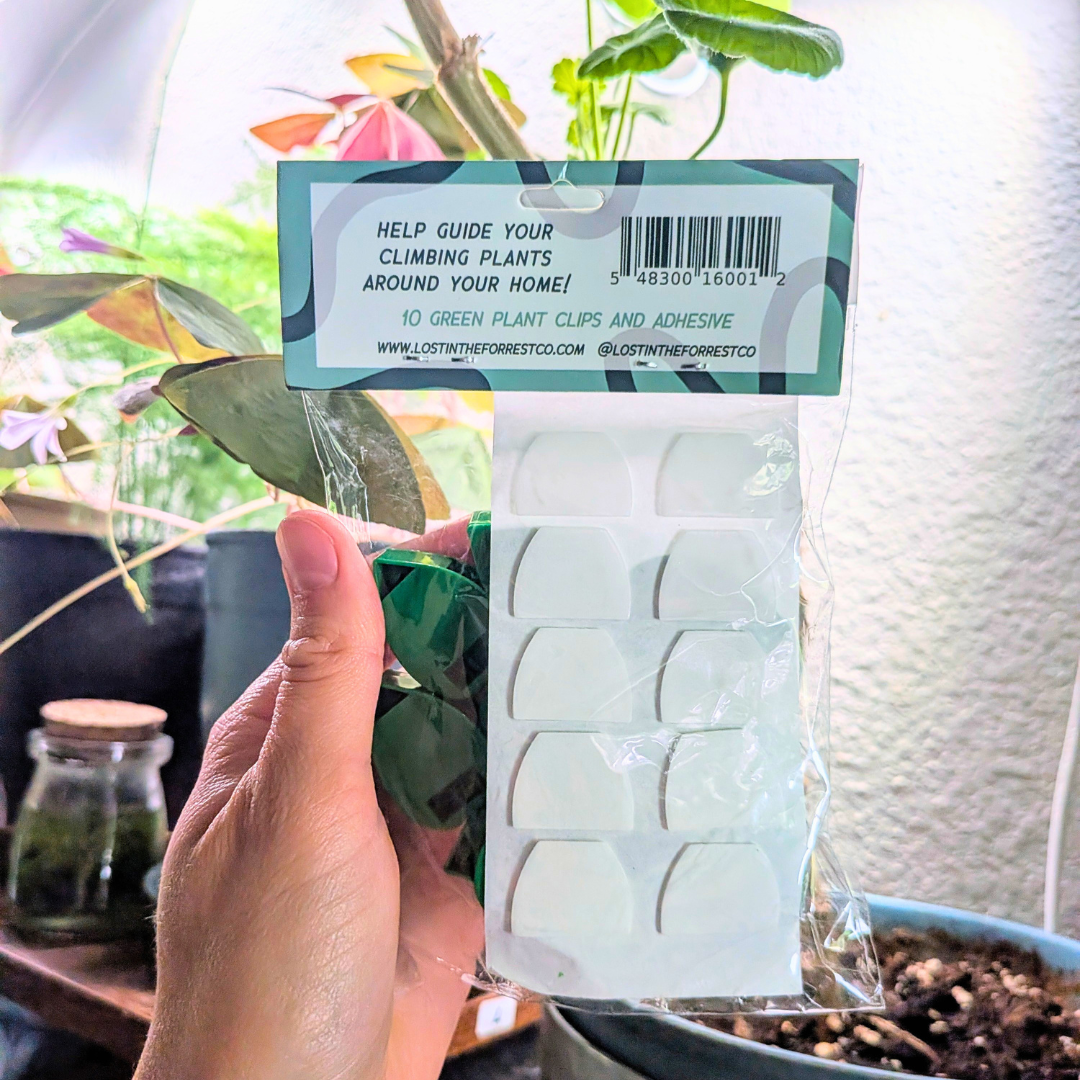 Leaf - Shaped Plant Wall Clips: Lost in the Forrest - Plantflix