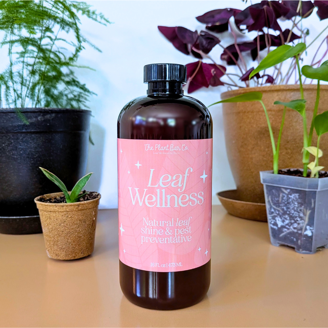 Leaf Wellness Spray - The Plant Bar - Plantflix