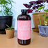 Leaf Wellness Spray - The Plant Bar - Plantflix