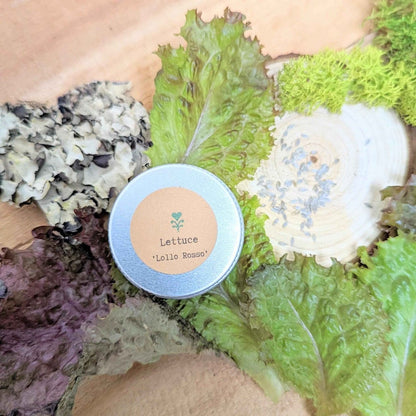 "Leafy Greens" Seed Collection - Plantflix