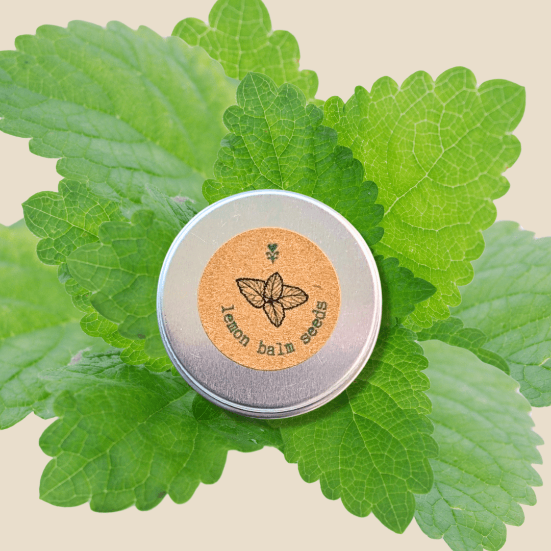 🎁 Lemon Balm Seeds (100% off) - Plantflix