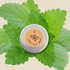🎁 Lemon Balm Seeds (100% off) - Plantflix