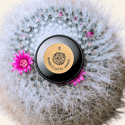 pincushion plant seeds Mammillaria mix "Pincushion Cactus" Seeds – Plantflix