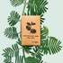 🎁 Mimosa Pudica "Sensitive Plant" Seeds (100% off) - Plantflix