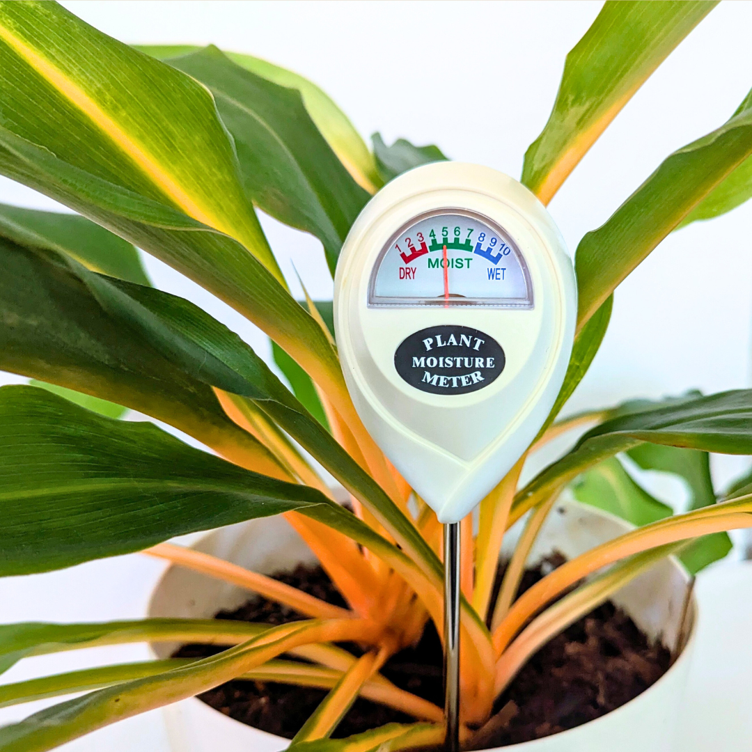 Moisture Meter - Classy Casita - Plantflix