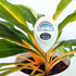 Moisture Meter - Classy Casita - Plantflix