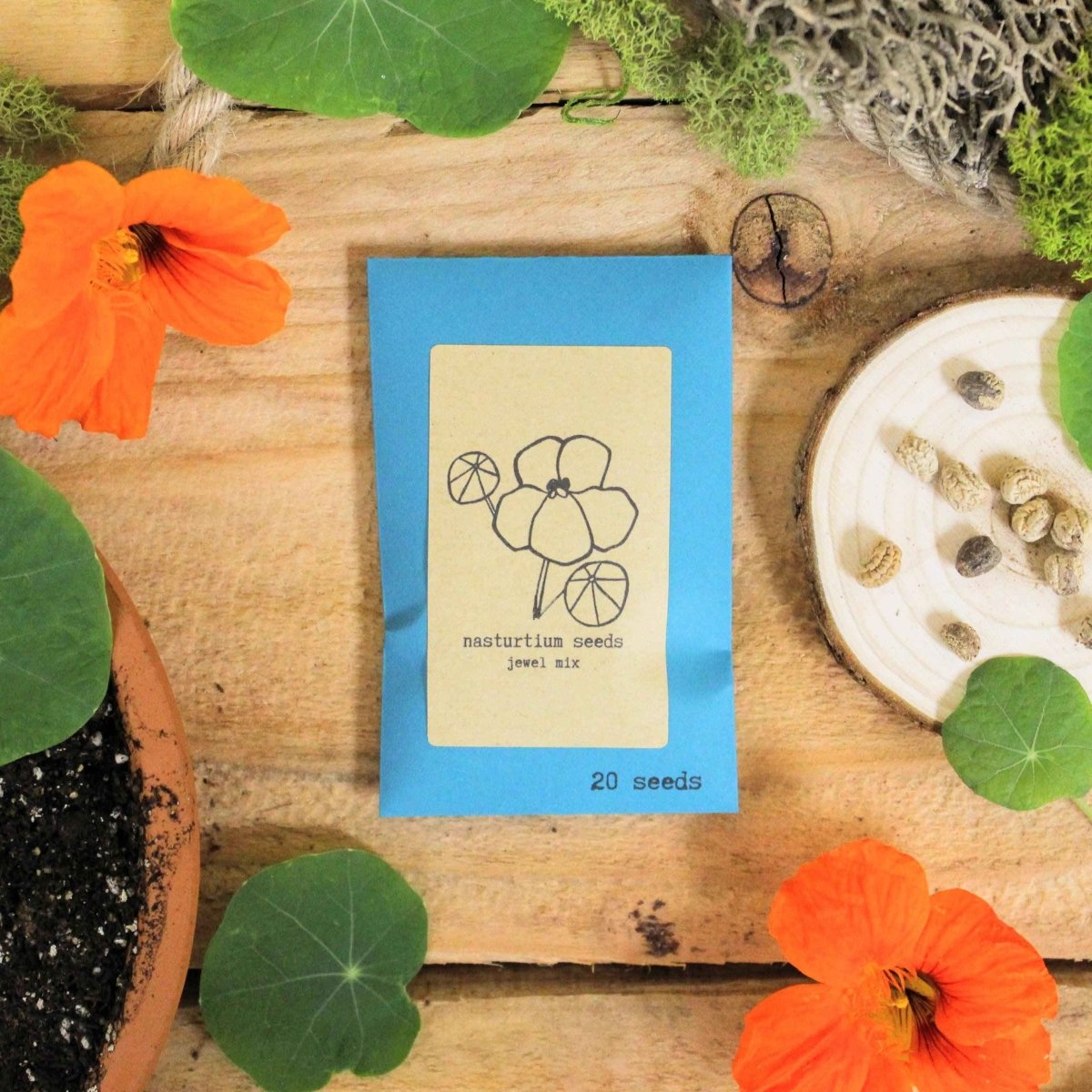 plant nasturtium seeds Nasturtium Seeds