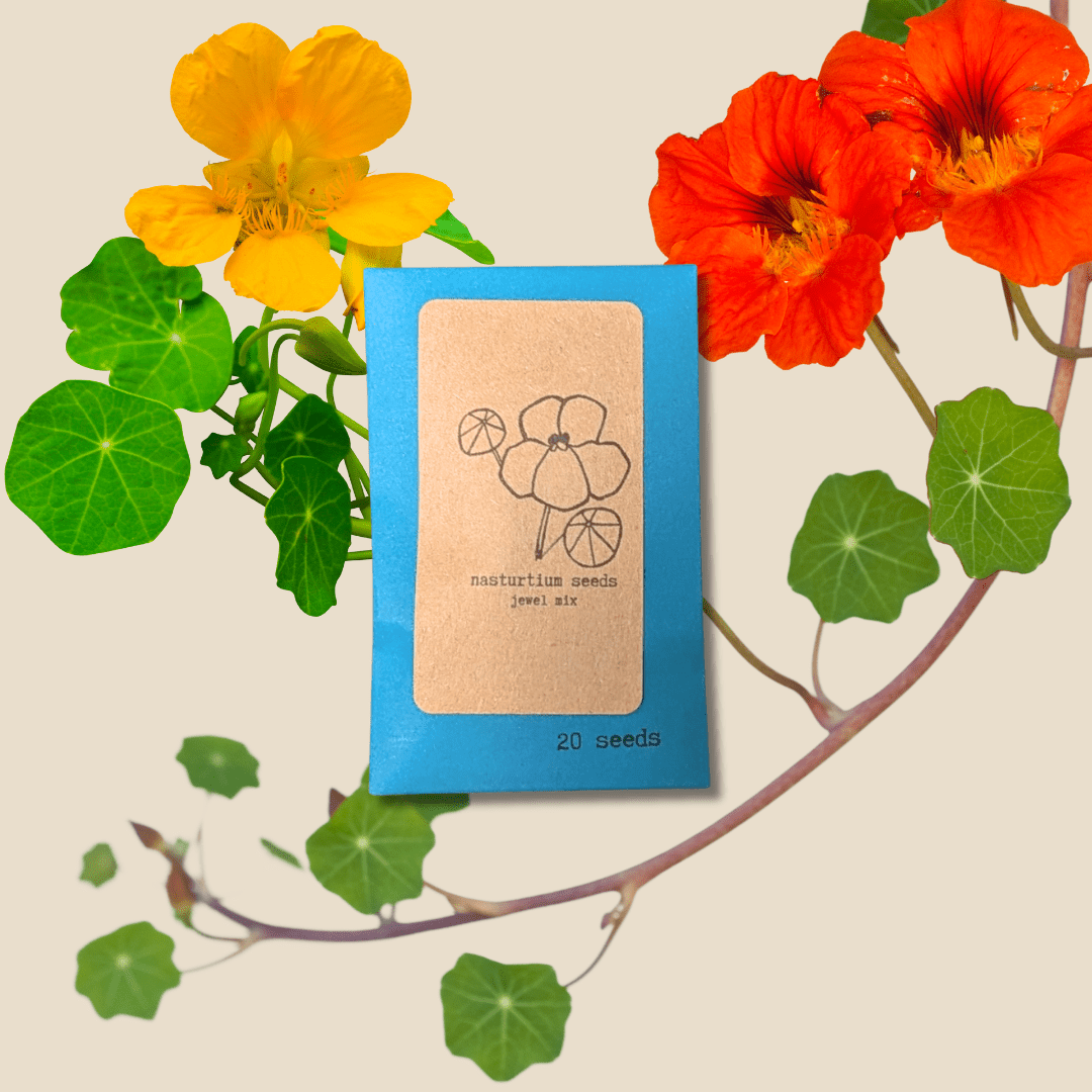 Nasturtium Seeds - Plantflix