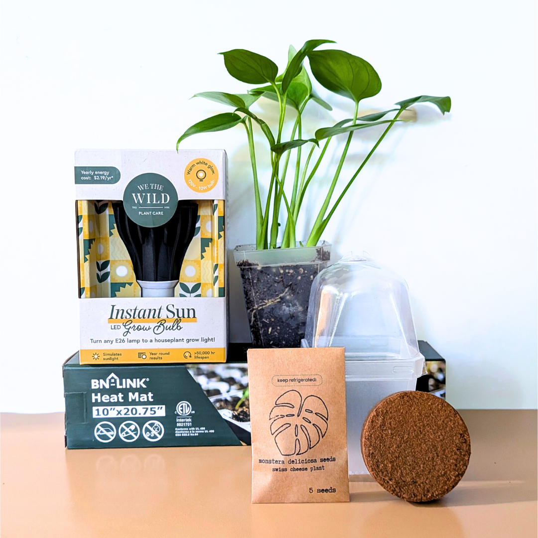 Seed-to-Sprout Monstera Plant Challenge
