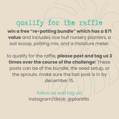 Seed-to-Sprout Monstera Plant Challenge