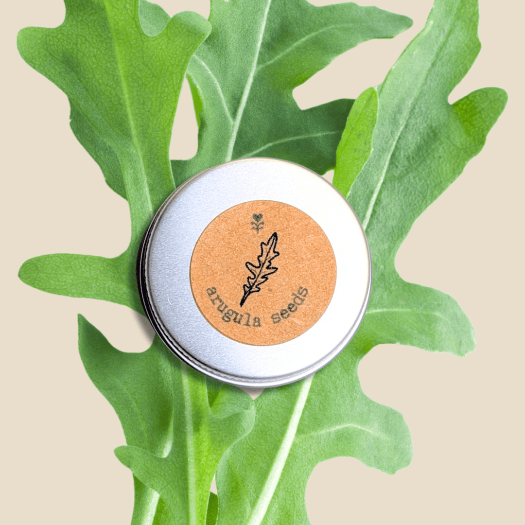 Organic Arugula Seeds - Plantflix