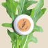 Organic Arugula Seeds - Plantflix