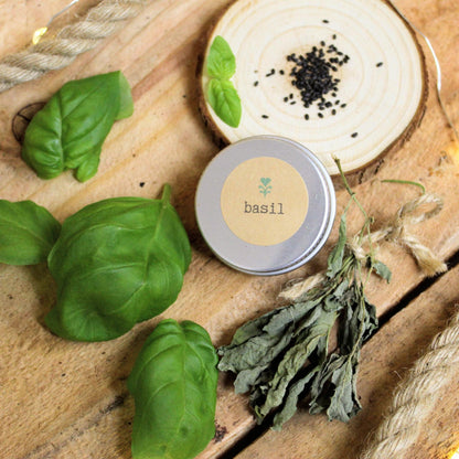 Organic Basil Beginner Grow Kit - Plantflix