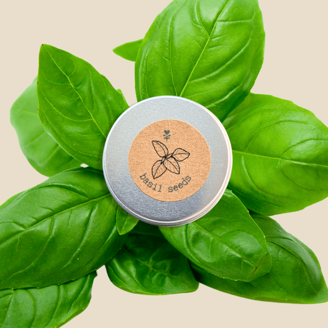 Organic Basil Seeds - Plantflix