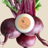 Organic Beet Seeds - Plantflix