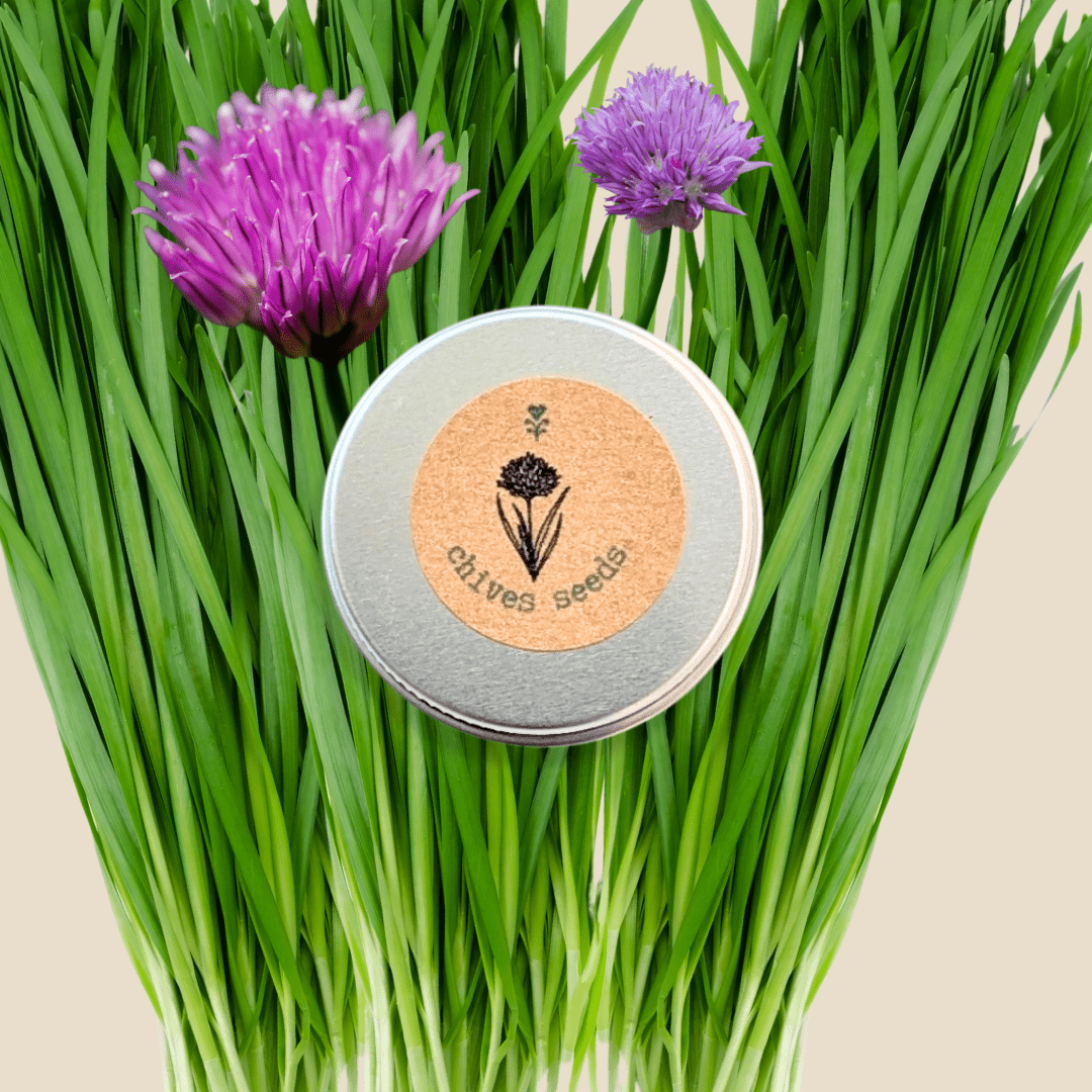 Organic Chives Seeds - Plantflix