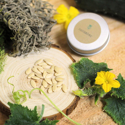Organic Cucumber Seeds - Plantflix