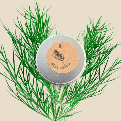 Organic Dill Seeds - Plantflix
