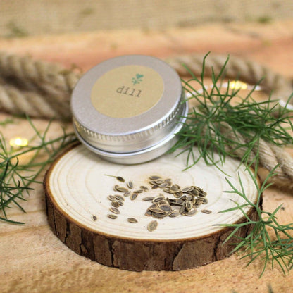 Organic Dill Seeds - Plantflix