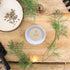 Organic Dill Seeds - Plantflix