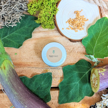 Organic Eggplant Seeds - Plantflix