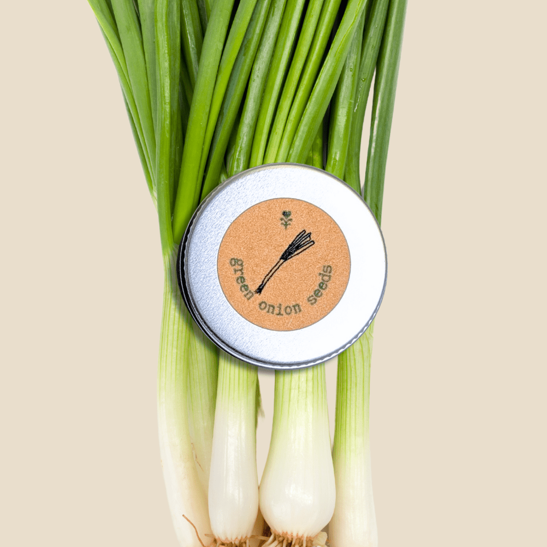 Organic Green Onion Seeds - Plantflix