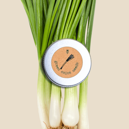 Organic Green Onion Seeds - Plantflix