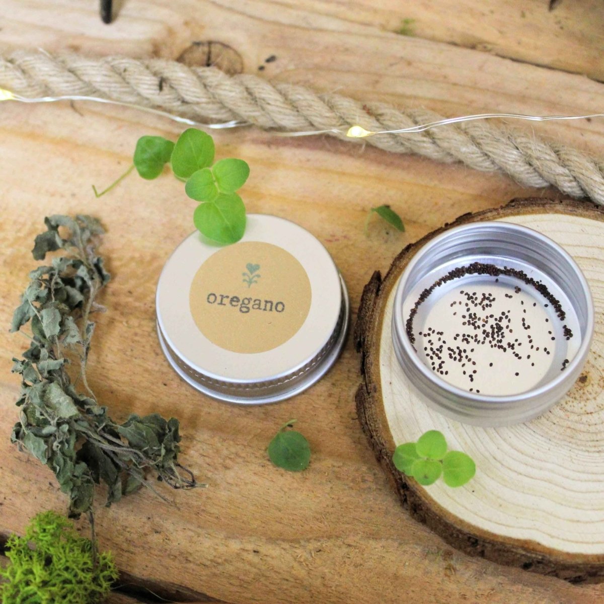 Organic Oregano Seeds - Plantflix
