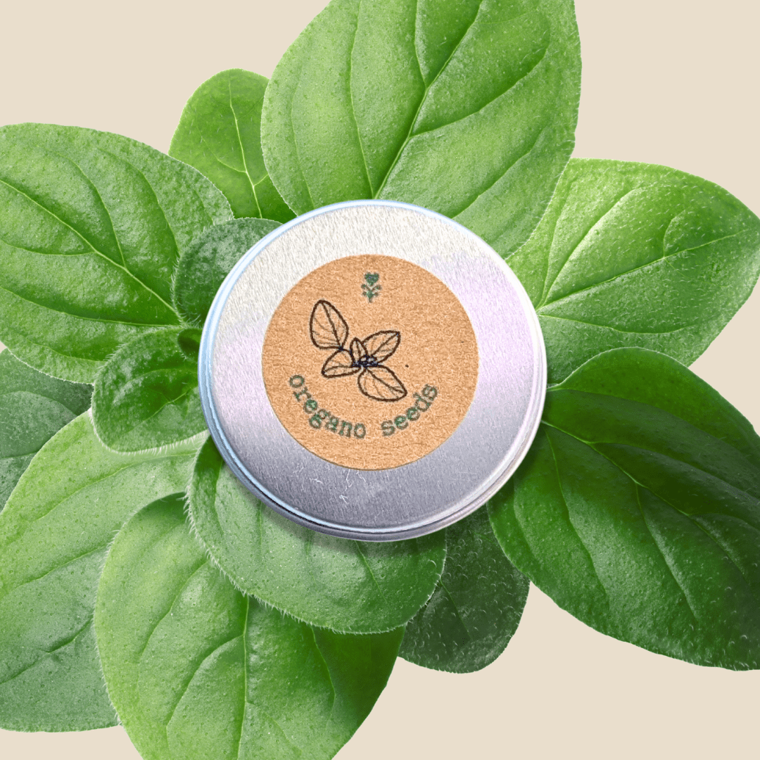 Organic Oregano Seeds - Plantflix