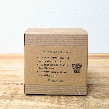 Organic Petgrass Grow Kit - Plantflix