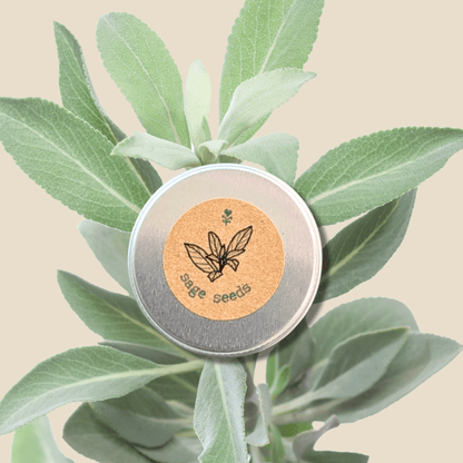 Organic Sage Seeds - Plantflix