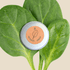 Organic Spinach Seeds - Plantflix