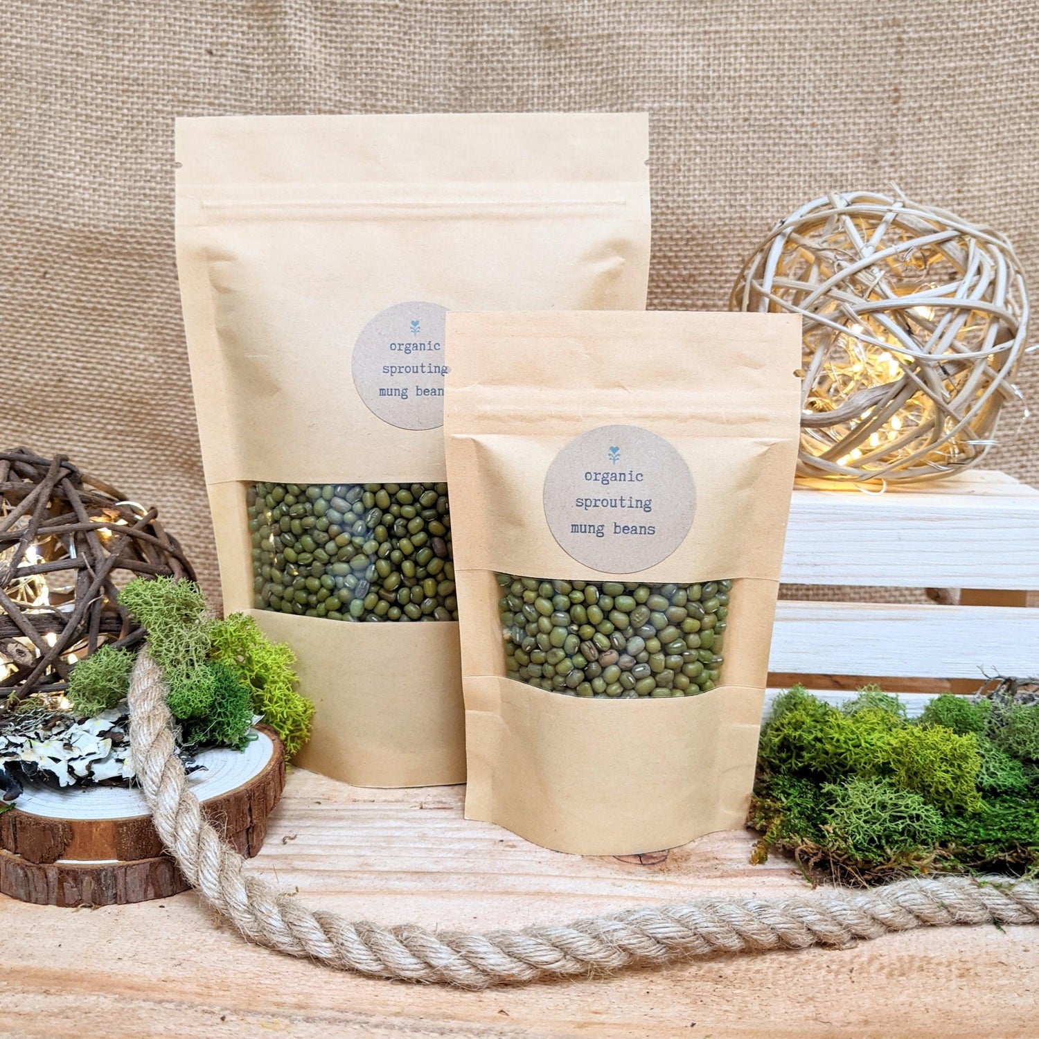 Organic Sprouting Mung Beans - Plantflix